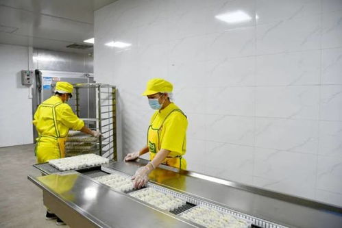 高標(biāo)準(zhǔn) 高收成 肇慶農(nóng)產(chǎn)品有一套 從農(nóng)田到市場的品質(zhì)密碼